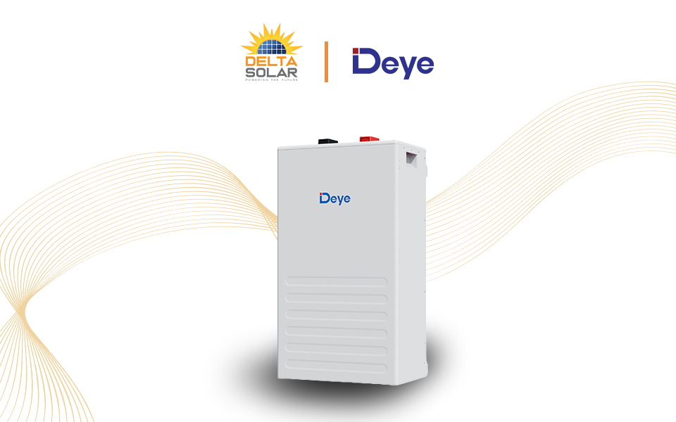 DEYE Low Voltage battery